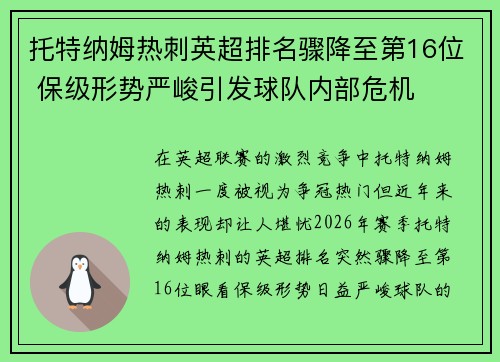托特纳姆热刺英超排名骤降至第16位 保级形势严峻引发球队内部危机
